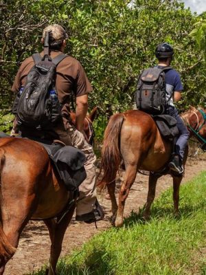 horseback riding belize (1)